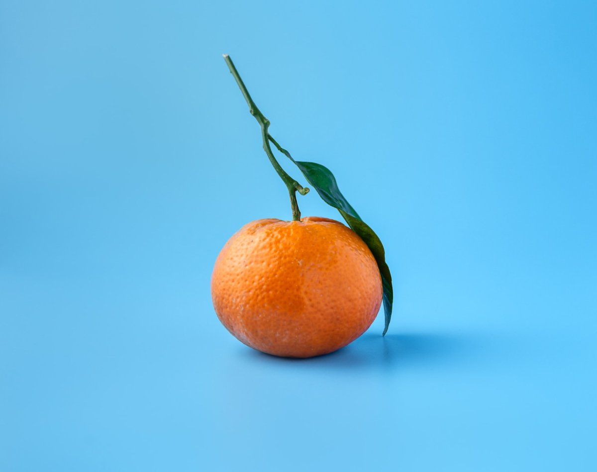 상업 사진 촬영